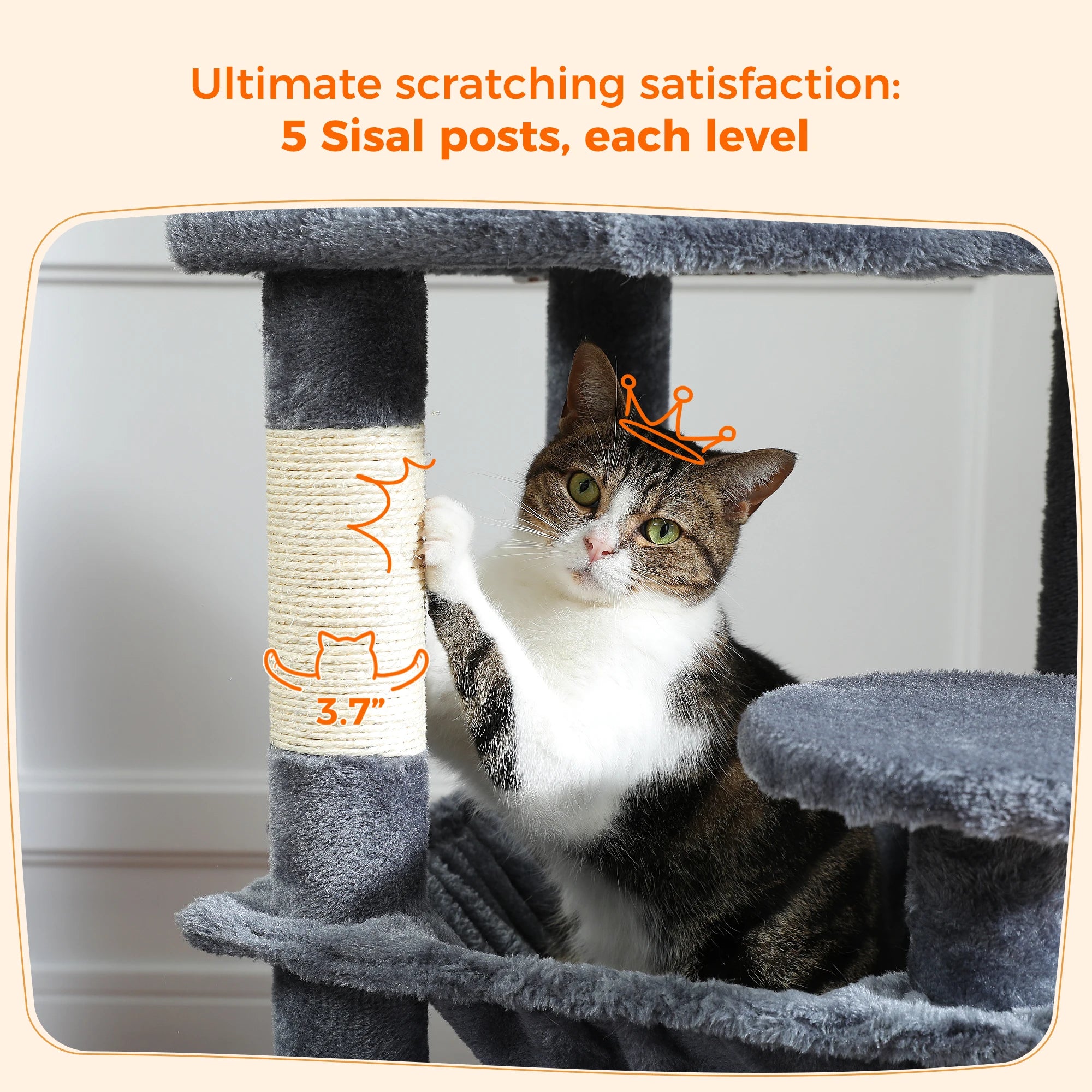 Choose Your Size Tree!